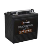 Yuasa DCB875-8(DT) Pro-Spec Deep Cycle Battery